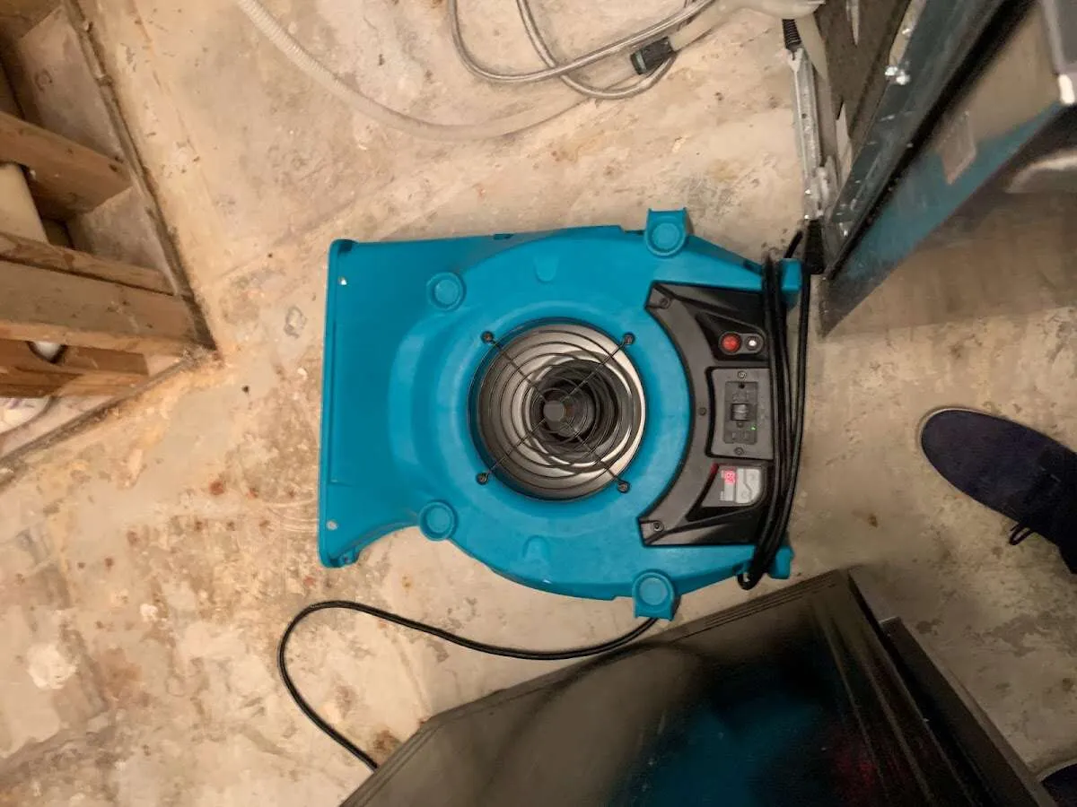 Air mover drying equipment for Mold Remediation & Removal in Ramapo